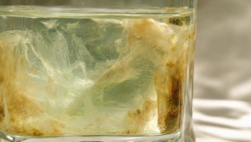 Longevity Supplements That Actually Work, Backed by Evidence