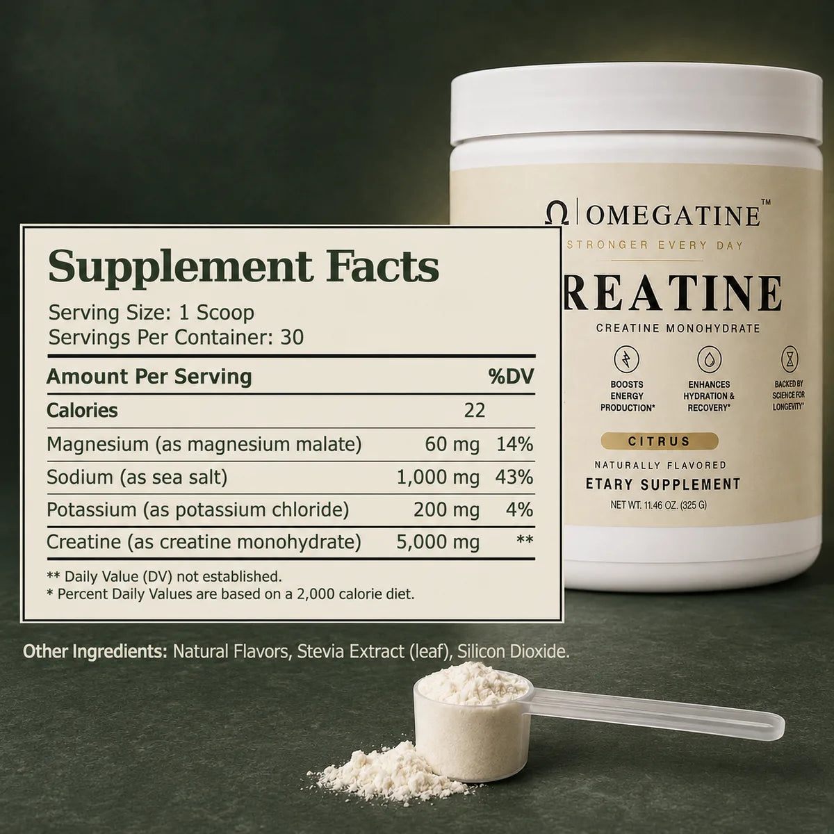 OMEGATINE creatine Supplement Facts panel: 1 scoop, 30 servings, 60 mg magnesium, 1,000 mg sodium, 200 mg potassium and 5,000 mg creatine monohydrate